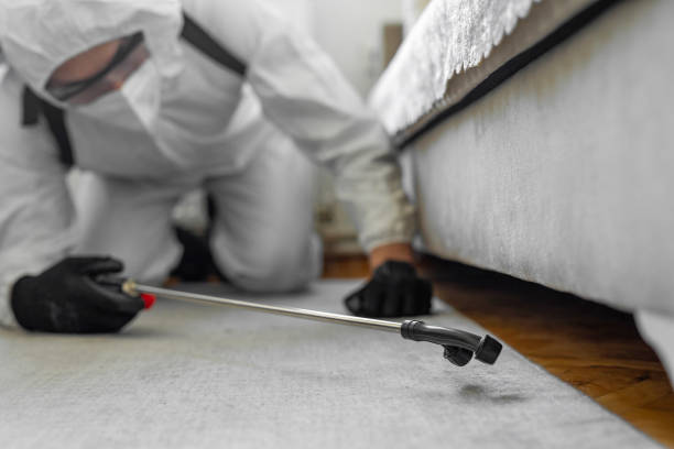 Professional Bed Bug Control technician working in Cordele, GA